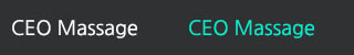 CEO Massage